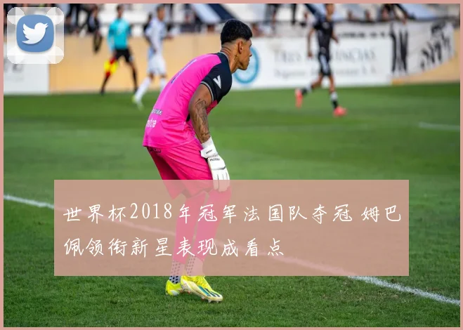 世界杯2018年冠军法国队夺冠 姆巴佩领衔新星表现成看点