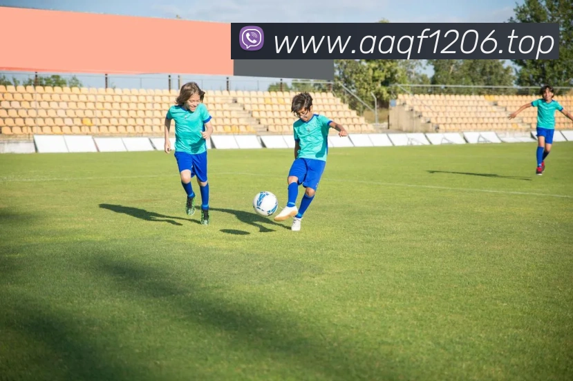 世界杯预选赛直播免费观看网站平台生态图